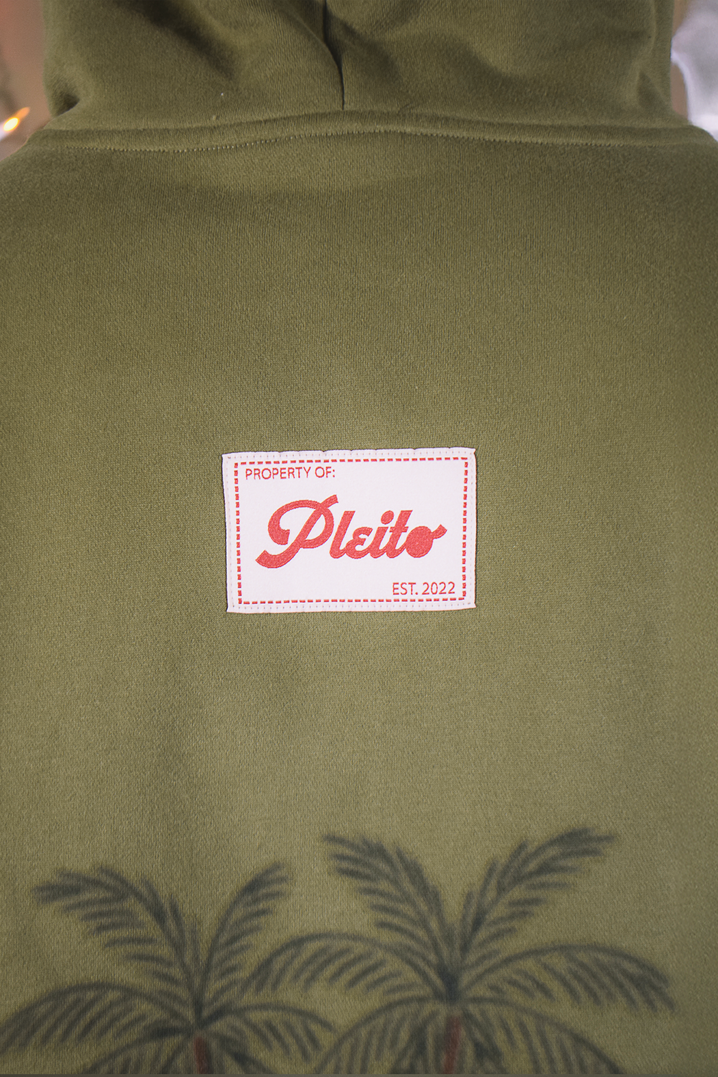 Frío de Mentira Hoodie